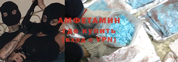молекула духа Богородицк