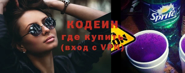 молекула духа Богородицк
