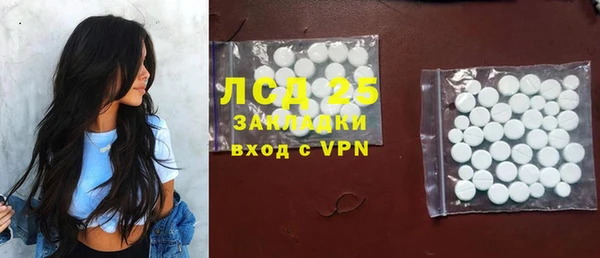 молекула духа Богородицк