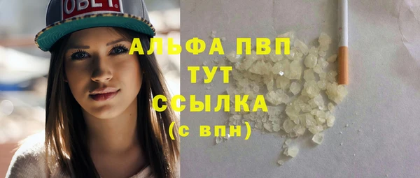 молекула духа Богородицк