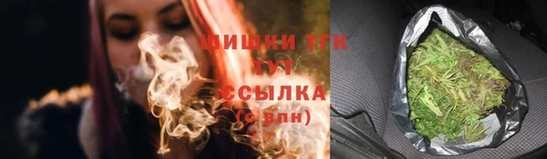 молекула духа Богородицк
