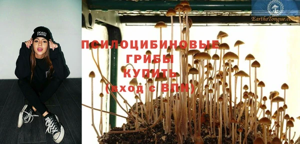 кристаллы Богородск