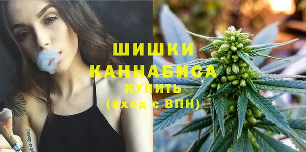 молекула духа Богородицк