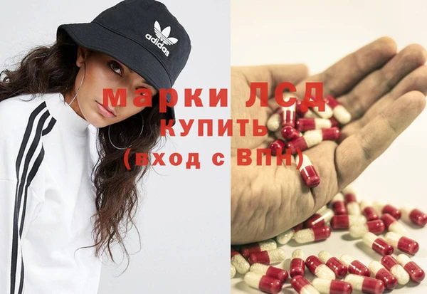 кокс Аркадак