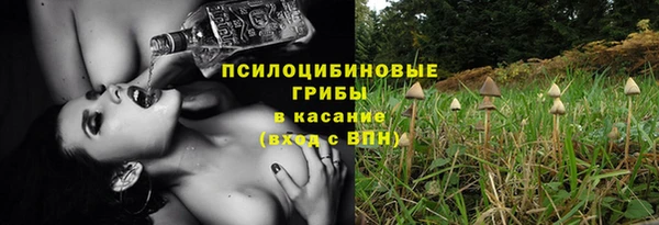 бошки Богданович